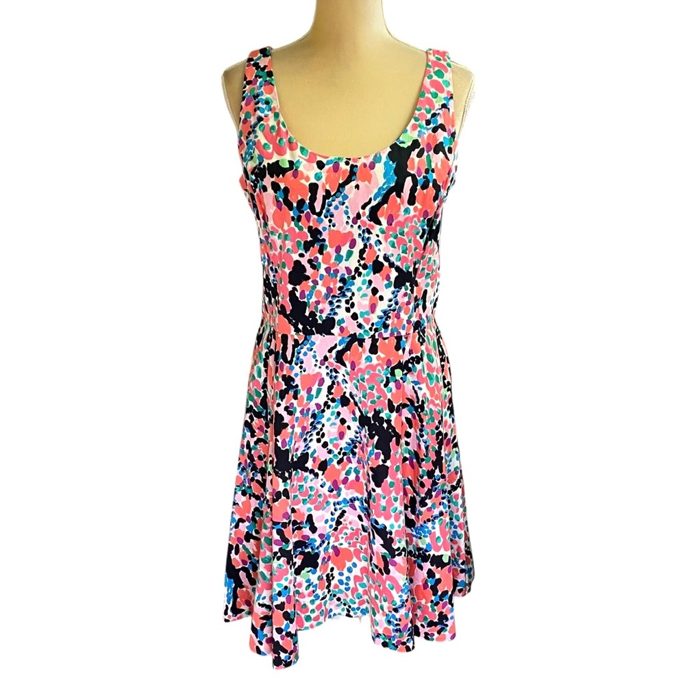 Lilly Pulitzer Gosling Cameo Sweet Nothings Dress View 2